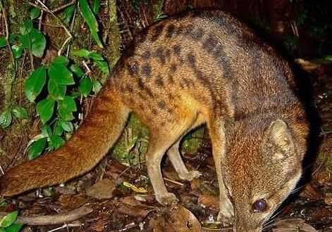 無腸公子中的無常是什么的代稱