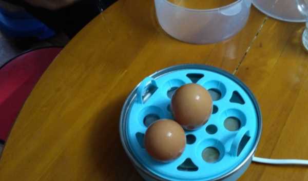 單獨雞蛋可以做什么,只用雞蛋能做什么菜?圖6