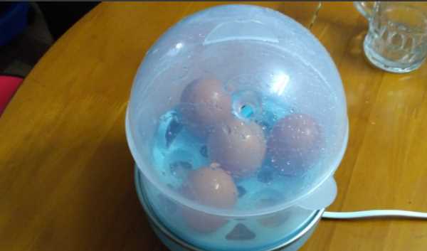 單獨雞蛋可以做什么,只用雞蛋能做什么菜?圖7