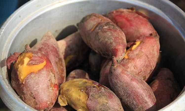 蒸紅薯是冷水下鍋還是開(kāi)水下鍋