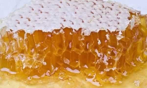 什么東西不會(huì)過期,永不過期的10種食物是真的嗎圖8