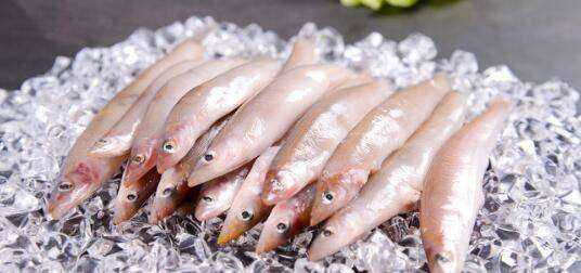 海泥鰍魚的做法,海泥鰍魚的做法大圖2