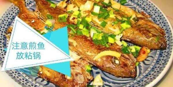 海泥鰍魚的做法,海泥鰍魚的做法大圖11