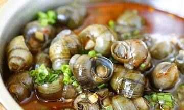 螺絲吃哪個(gè)部位,螺絲哪里能吃哪里不能吃圖圖3