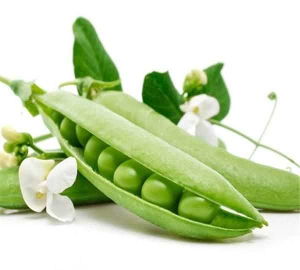 豆莢是什么，豆莢投放是什么？圖3