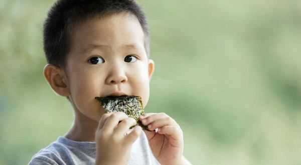 海苔吃了會(huì)胖,吃海苔會(huì)變胖嗎圖3