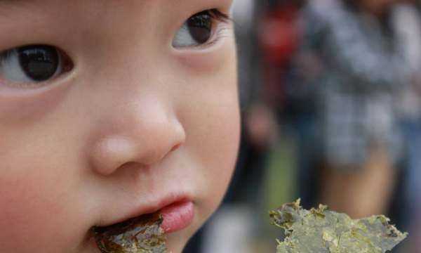 海苔吃了會(huì)胖,吃海苔會(huì)變胖嗎圖6