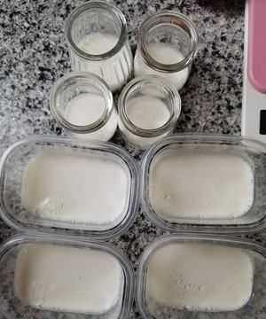 果凍不凝固怎么補(bǔ)救,自制奶酪不凝固是什么原因圖7