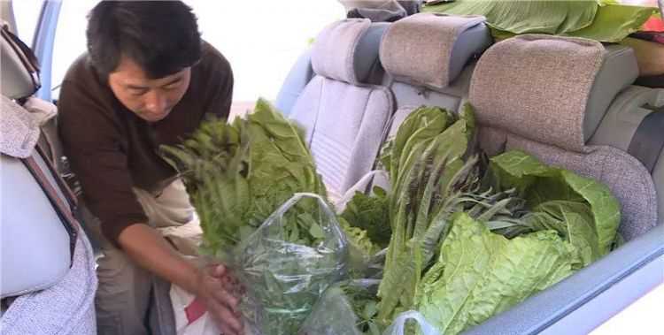 蔬菜小販一天賣不完的菜如何保鮮存放