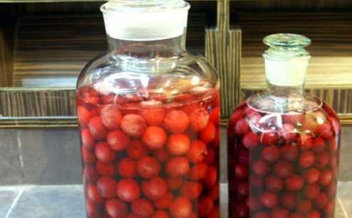 十斤白酒泡多少楊梅,10斤酒泡楊梅放多少冰糖圖1