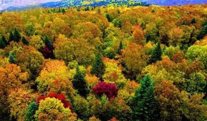 二年級短文五花山開頭是設(shè)問句還是疑問句