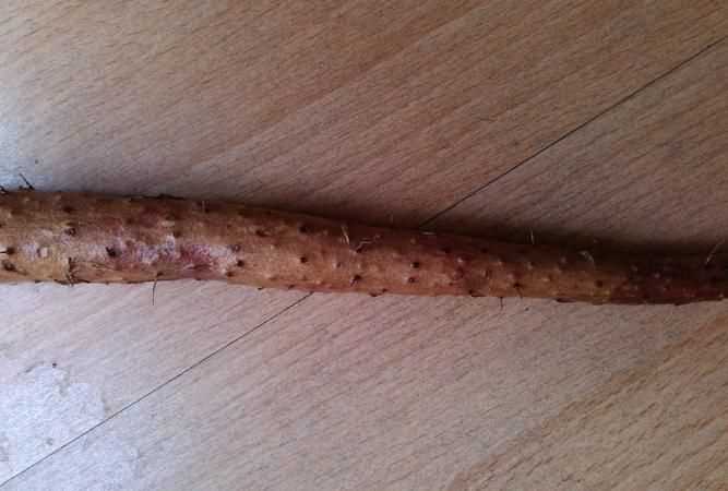 發(fā)紫的山藥還能吃嗎