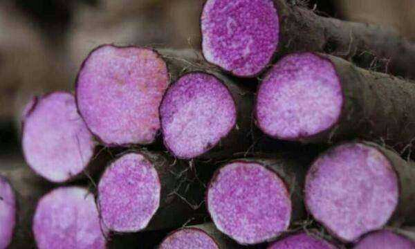 山藥發(fā)紫是怎么回事,發(fā)紫的山藥還能吃嗎圖4