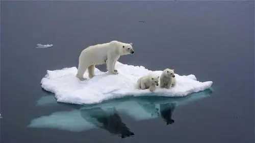 全球變暖的后果,全球變暖引起的后果會濕圖2