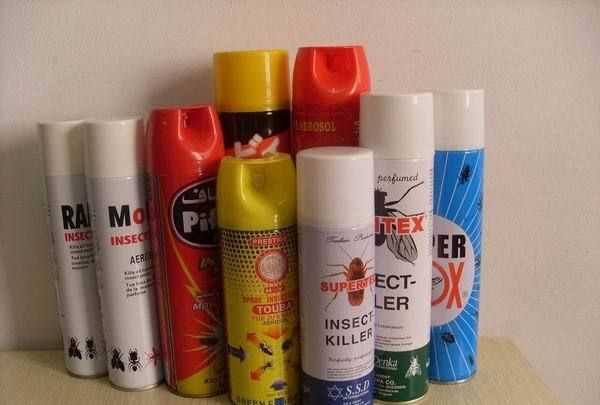 殺蟲劑里的油有毒嗎