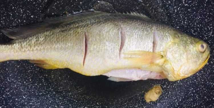 鱸魚蒸出來為什么是黃色的