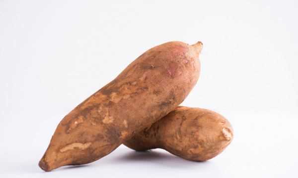 雪蓮果和紅薯一樣,雪蓮果與紅薯的區(qū)別圖3