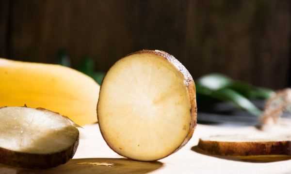 雪蓮果和紅薯一樣,雪蓮果與紅薯的區(qū)別圖4