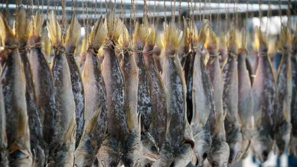 網(wǎng)絡(luò)語咸魚是什么意思,網(wǎng)絡(luò)流行語咸魚是什么意思圖1