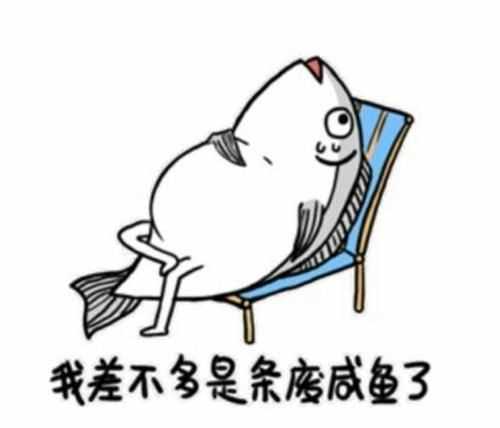 網(wǎng)絡(luò)語咸魚是什么意思?