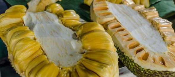 菠蘿蜜切開(kāi)一半剩下的不剝開(kāi)能保存么,菠蘿蜜切一半還能放熟嗎圖2