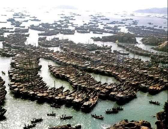 中國(guó)的舟山漁場(chǎng)建在什么流顯著的海域