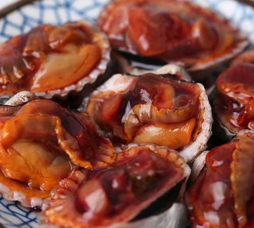 血蛤怎么處理干凈內(nèi)臟