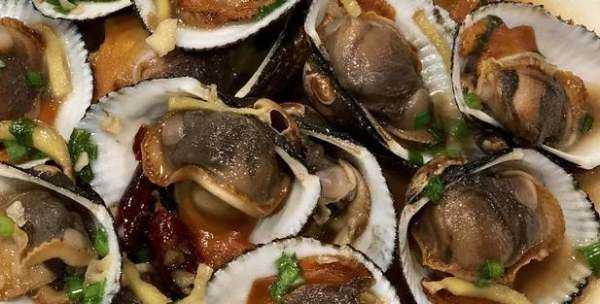 血蛤如何才能安全食用,血蛤怎么養(yǎng)活圖7