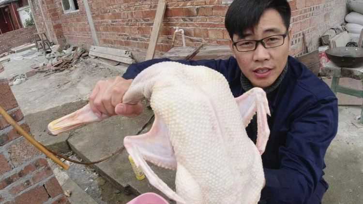 殺鴨子怎樣去毛最干凈