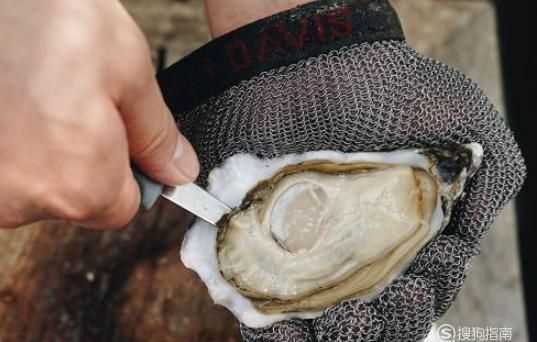 生蠔有內(nèi)臟需要清理嗎