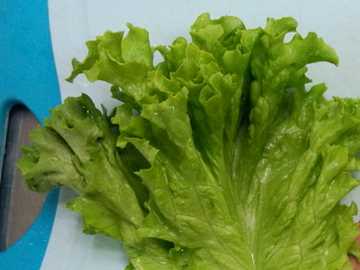 手抓餅的配菜種類,手抓餅的配菜有哪幾種圖2