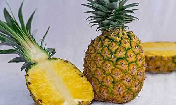 菠蘿怎么吃不沙嘴,菠蘿怎么才能結(jié)果圖5