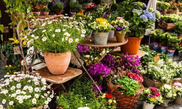 怎樣能讓屋里沒有潮蟲,家里為什么有潮蟲圖1