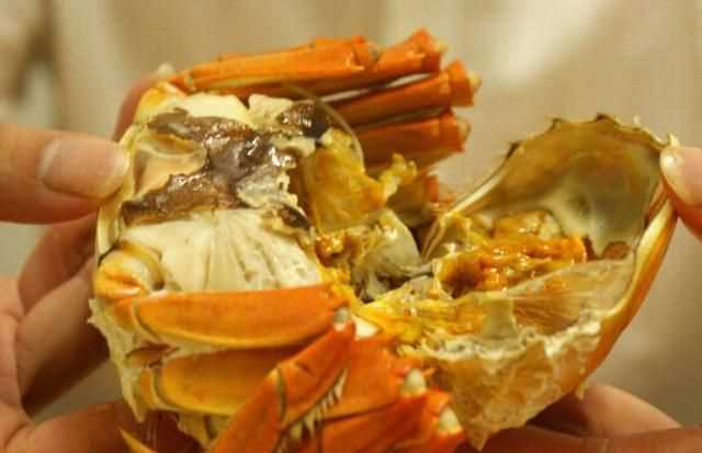 河蟹死了還能吃嗎