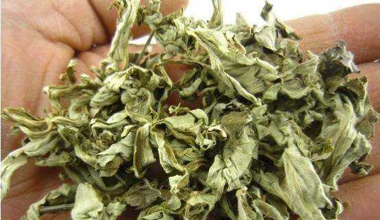 艾葉煮水洗臉的壞處,艾草能天天洗臉嗎圖6