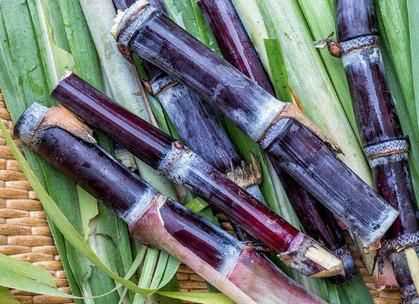 甘蔗里面發(fā)紅是怎么回事是否能食用