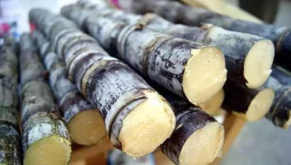 甘蔗為什么會變紅,甘蔗里面發(fā)紅是怎么回事是否能食用圖2