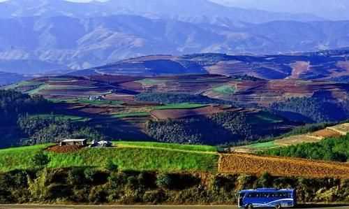 巡回檢查組東川省在哪里