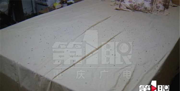 衛(wèi)生間有飛蛾怎么處理