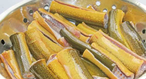 黃鱔要焯水,黃鱔的做法大全家常圖2