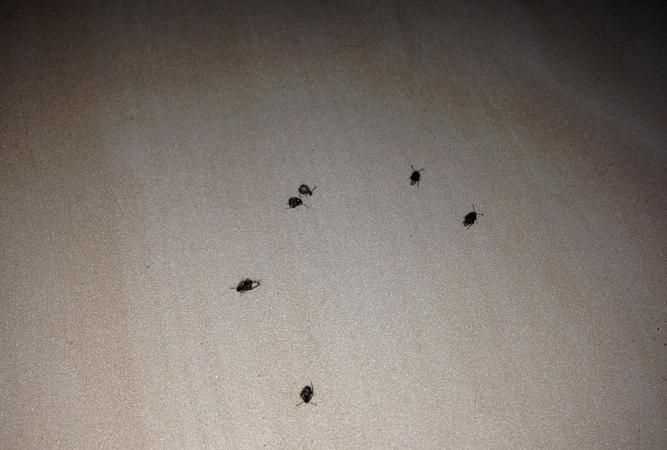 月字的故事及來(lái)歷