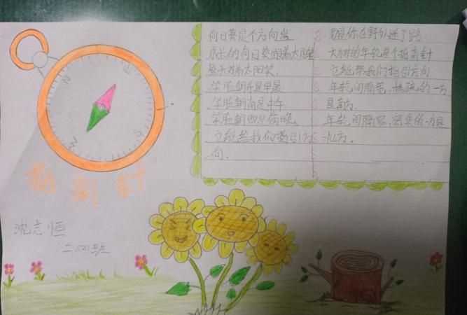 天然的指南針有哪些?