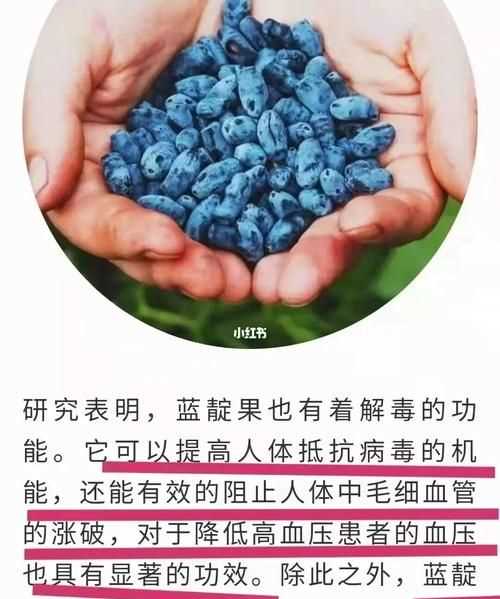 植物細(xì)胞的花青素存在于()中