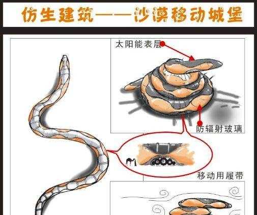 從動(dòng)物身上得到啟示的發(fā)明有哪些,人類從哪些動(dòng)物受到啟發(fā)發(fā)明了什么?圖3