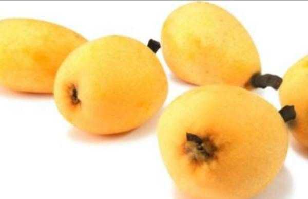 東山白玉枇杷的特點(diǎn),蘇州東山白玉枇杷蜜好喝嗎圖8