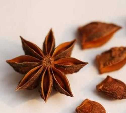 八角樹怎么長得快