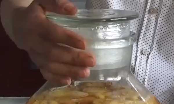 琵琶可以泡酒嘛,野生枇杷泡酒的做法圖7