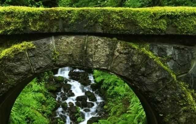 水泥地上的青苔怎么永久清除，水泥地上的青苔怎么消除？圖3