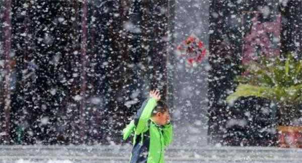 房間柳絮怎么清理,家里到處都是柳絮怎么辦呢圖3