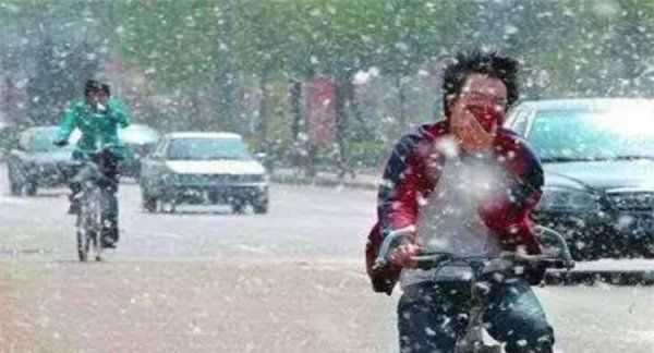 房間柳絮怎么清理,家里到處都是柳絮怎么辦呢圖10